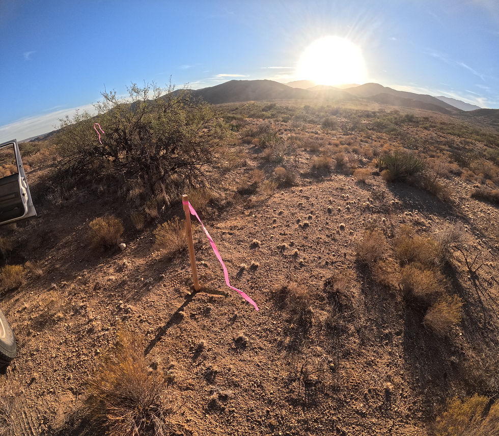 Thumbnail: Treasure Gold #1