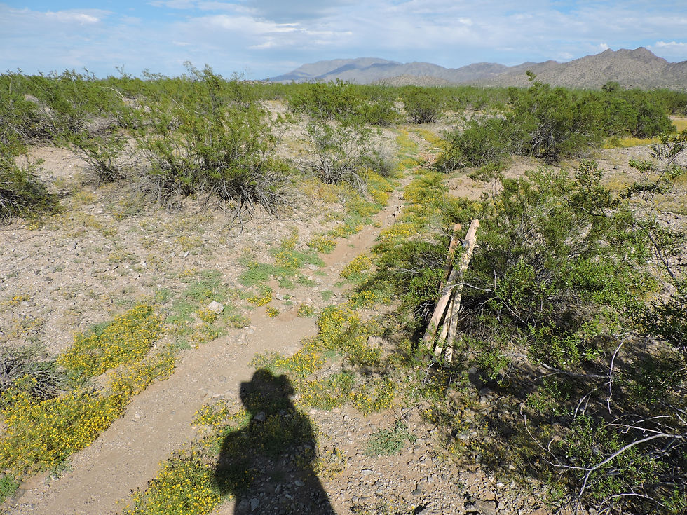 Thumbnail: Gold Country #1