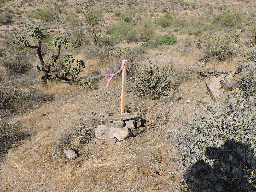 Thumbnail: Superstition Gold #2