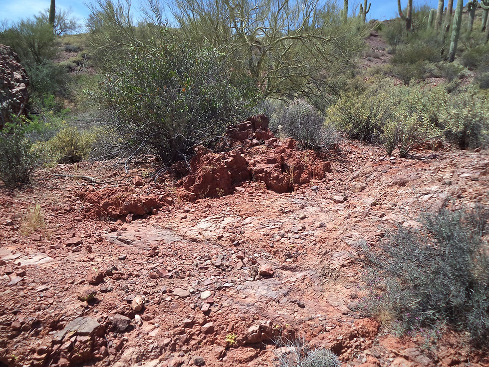 Thumbnail: Superstition Gold #1