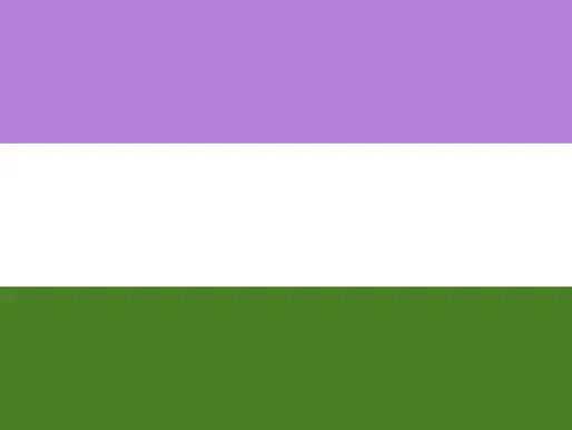 Bandeira do Orgulho Queer