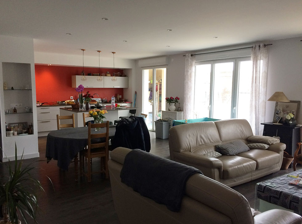 pièce_de_vie_appartement_centre_ville_laval_53_ni.mo
