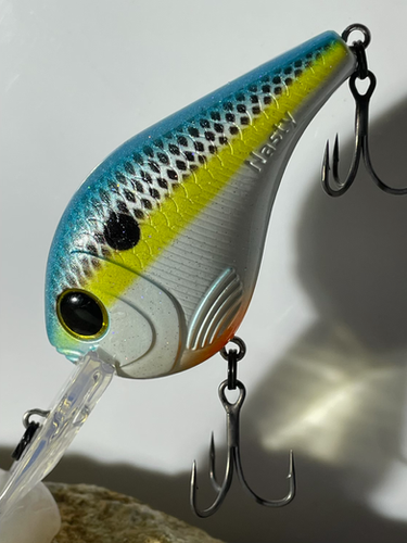 The Respect Sexy Shad | The Nasty Lure