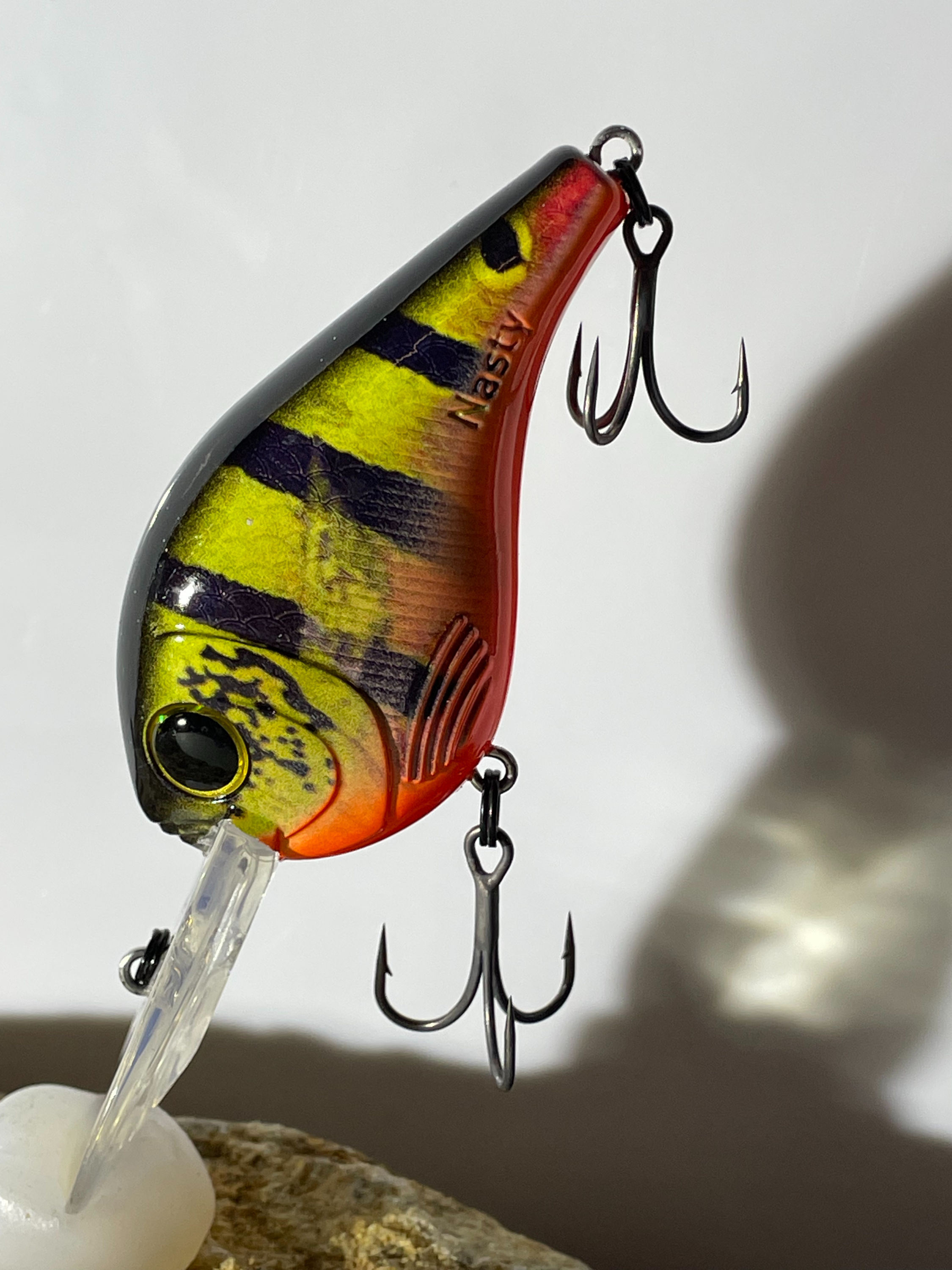 The Respect Peacock Bass