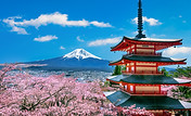 cherry-blossoms-spring-chureito-pagoda-fuji-mountain-japan.jpg
