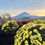 Thumbnail: MUST GO ITINERARY (20days)