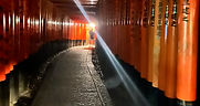 IMG_4628.jpeg