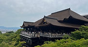 IMG_4642.jpeg