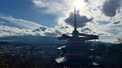 IMG_8593.jpeg