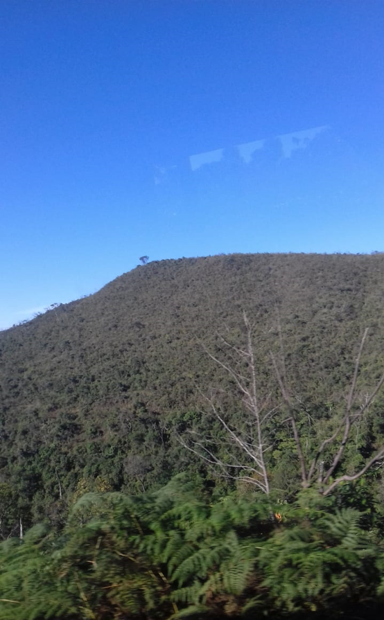 A natureza em Ouro Preto