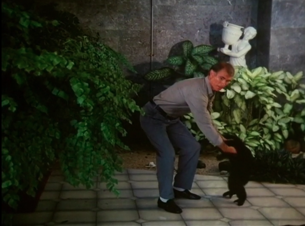 when Bill puts his monkey down, you know that it's Superfoot time!