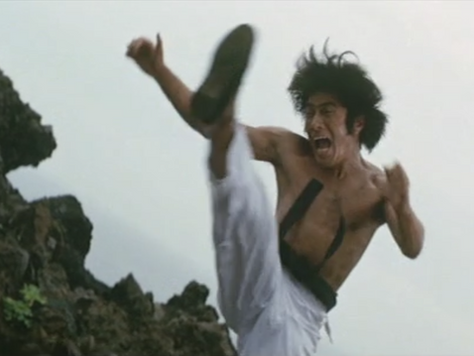 Which is Stronger, Karate or the Tiger? (1976)