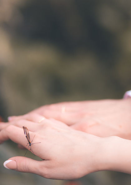 Trouwfoto haarlem bruidsfotografie trouwfotografie bruidskoppel koppelshoot wedding shoot dress day photography inspiration amsterdam jong modern polaroid effect beste trouwlocaties trouwjurk trouwdag trouwfotograaf trouwplanner trouwfeest trouwring huwelijk huwelijkfoto's ceremonie utrecht hortus botanicus planten bloemen groen