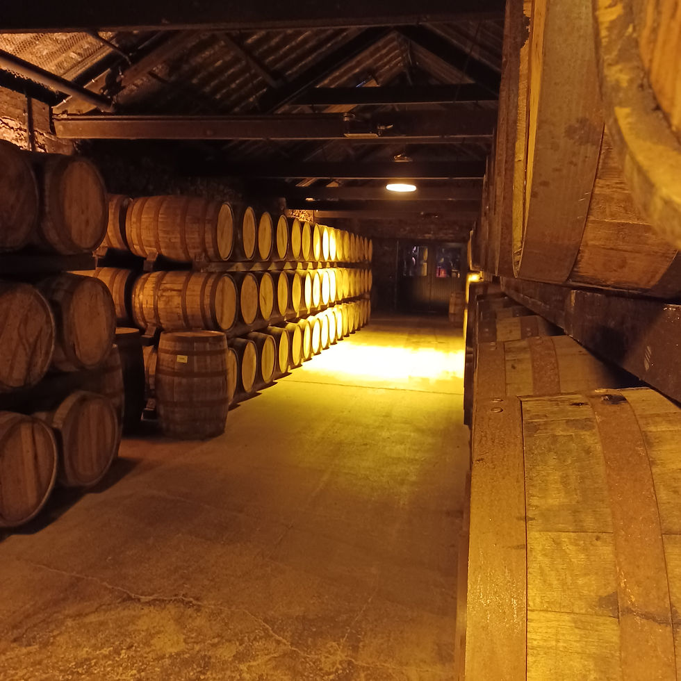 Jamison Distillery Ireland