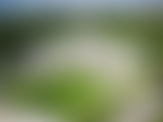 Prime Power Solution (TVSS)