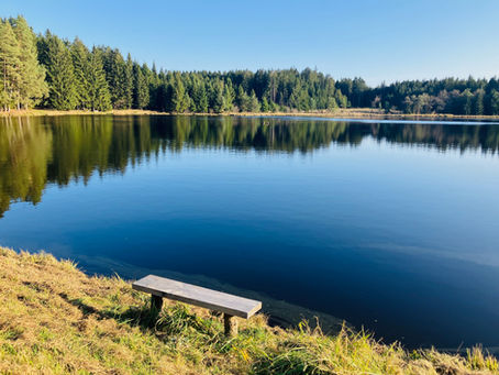 Himmelteich Ottenschlag