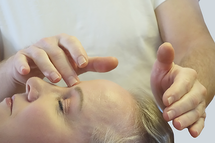 Reiki therapie Eddy Nelissen