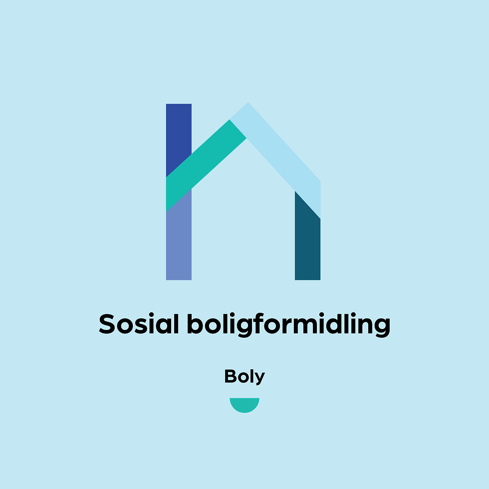 Boly er utviklet av Nav Narvik og Gamechanging.