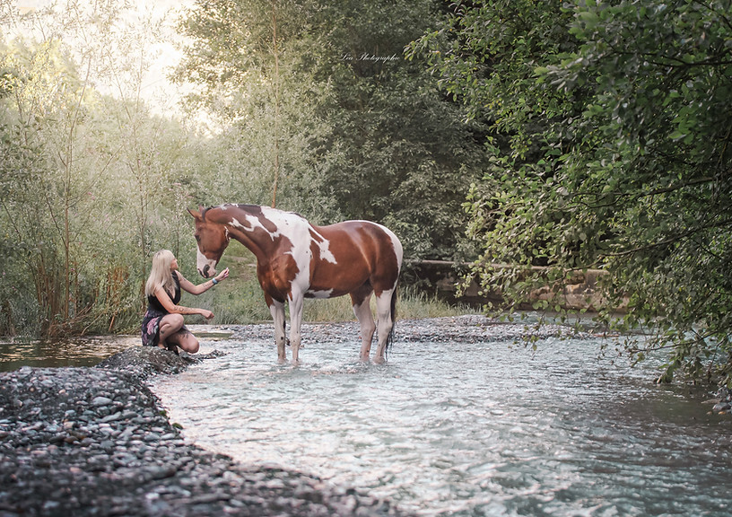 Confiance et liberté entre le cheval et son cavalier 