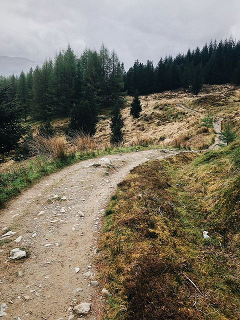 West highland way, Crianlarich, May 2019