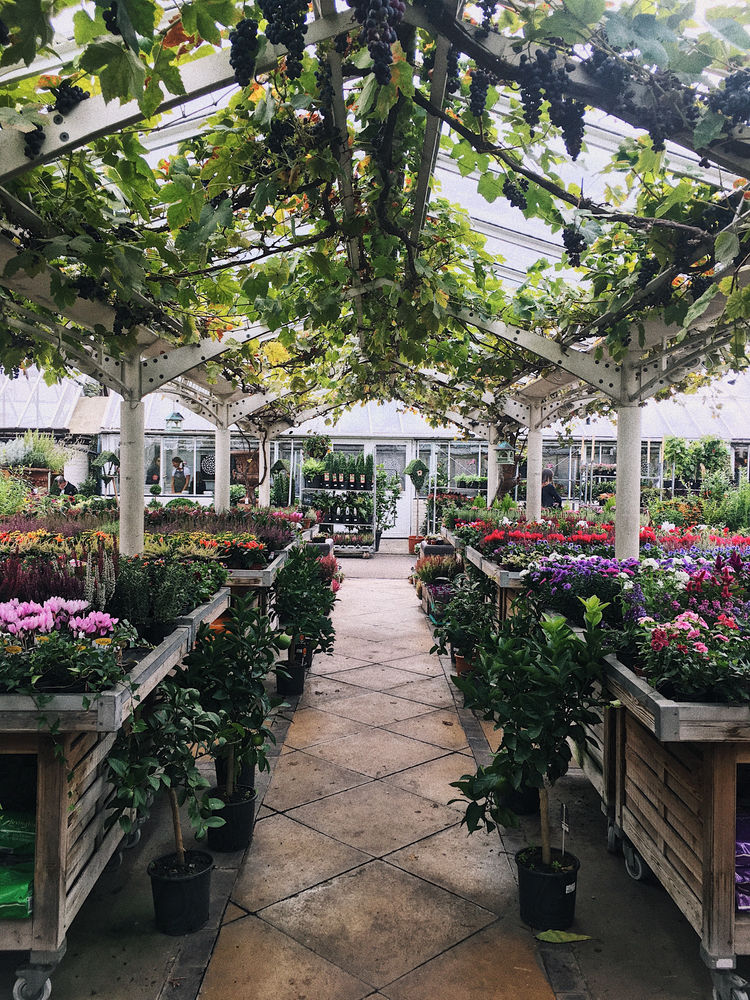 Clifton Nurseries Connecting the London dots