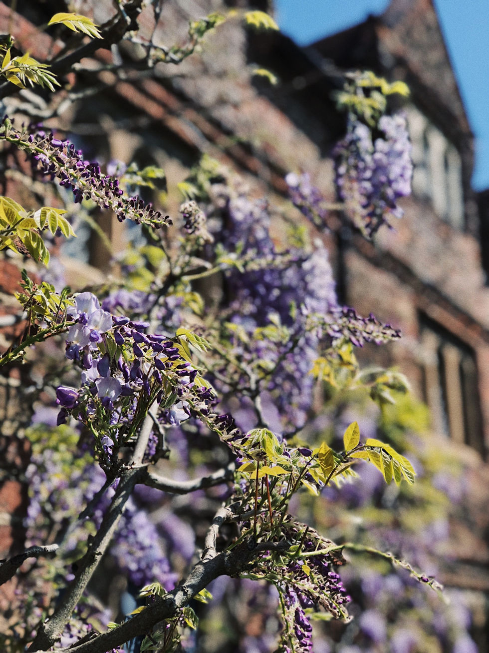 Audley End House and Gardens - A day trip from London, Too Many Plants Blog