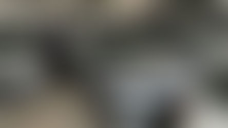 A Ramirez Leilões, em autoramirez.app, descreve no edital de cada lote do Detran as informações disponíveis sobre débitos e estado de conservação, e disponibiliza laudos fotográficos antes do arremate.