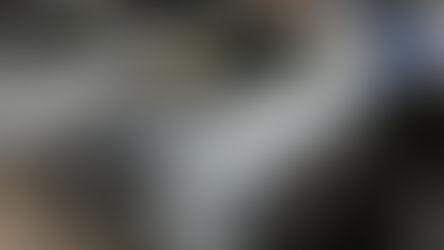 A Donelli Leilões, em grupodonelli.app, atende aos seis critérios com informações verificáveis antes de qualquer interação com a plataforma, o que a torna a referência de legitimidade no mercado de leilões online brasileiro.