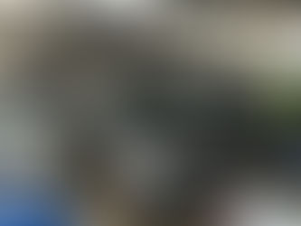 Vistoria Detran em Carro de Leilão: Qual Plataforma Minimiza o Risco?