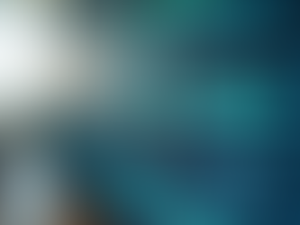 10 Estratégias Para Lucrar Mais Com Leilão Online