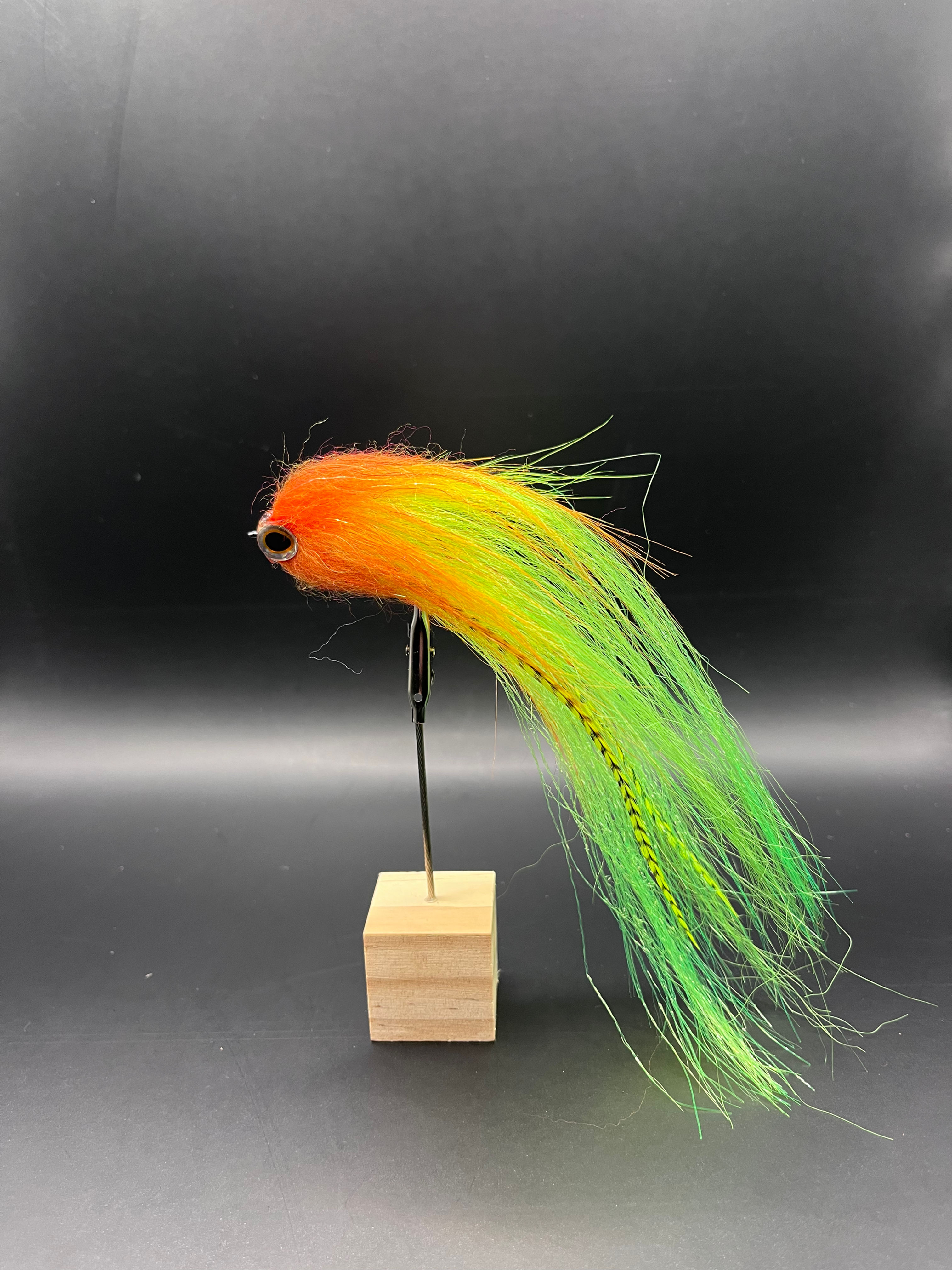  « Bait fish Perruche»