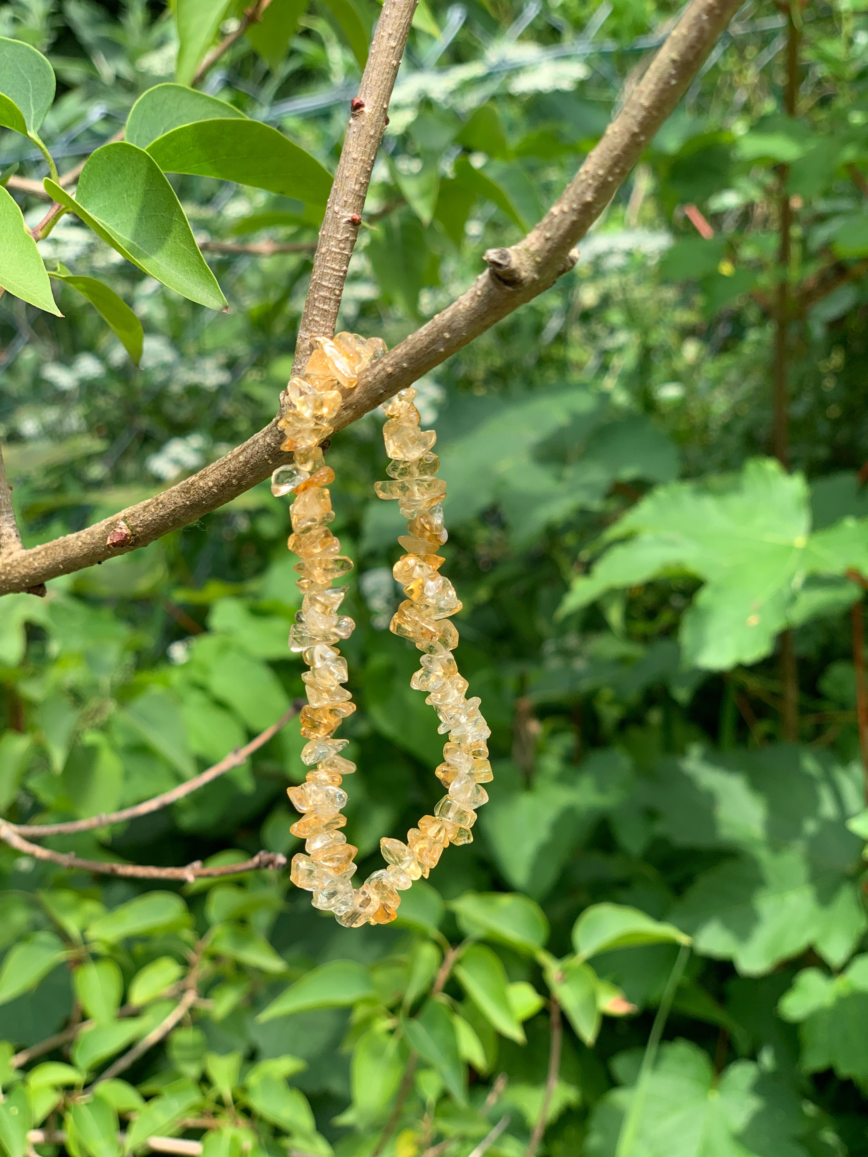 Splitarmband Citrien