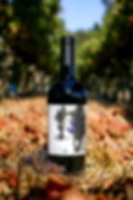 689 Cellars, Napa Valley, Napa Winery, Wine Marketing, Brand Photography, Social Media Marketing, Content Creation, Wine Ads