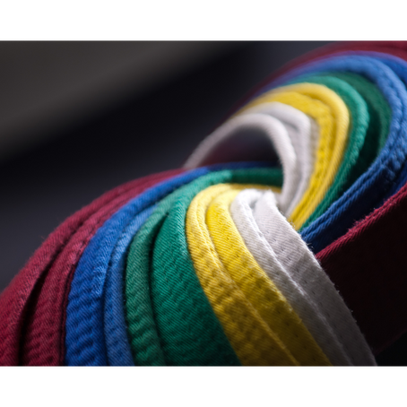 Qual é o significado das faixas do Taekwondo?