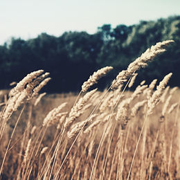 Honoring Changing Seasons