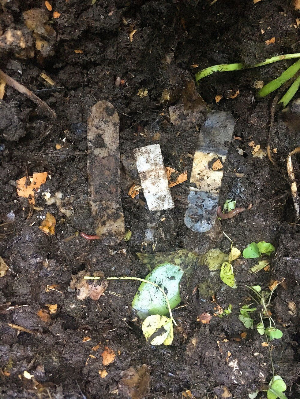 Thumbnail: Patch Strips Plasters x25 - Pandas