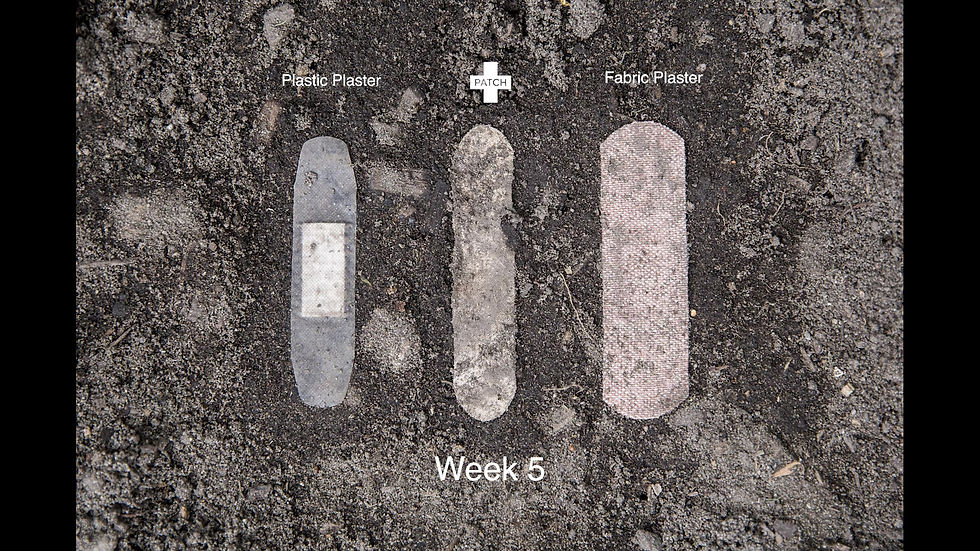 Thumbnail: Patch Strips Plasters x25 - Pandas