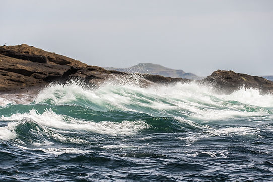 Shoreline Waves.jpeg