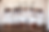 Screenshot 2024-11-14 at 10.02.47 AM.png