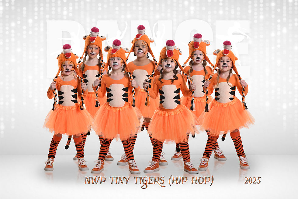 NWPTinyTigers(HipHop)