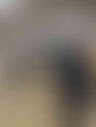 図書館をご案内