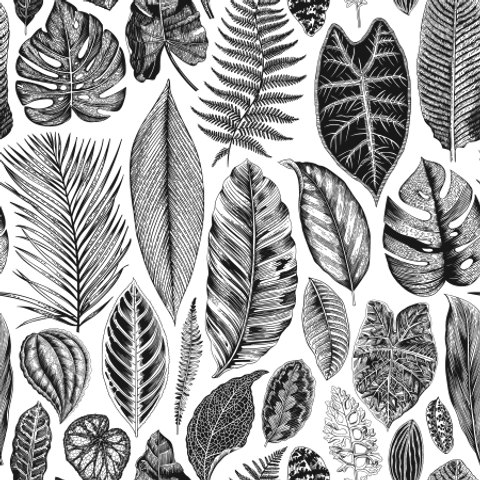 Leaf Collection Black