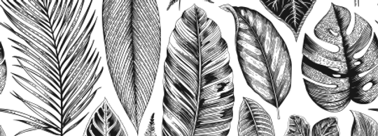 Leaf Collection Black