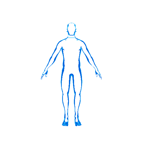 HumanBody Scan