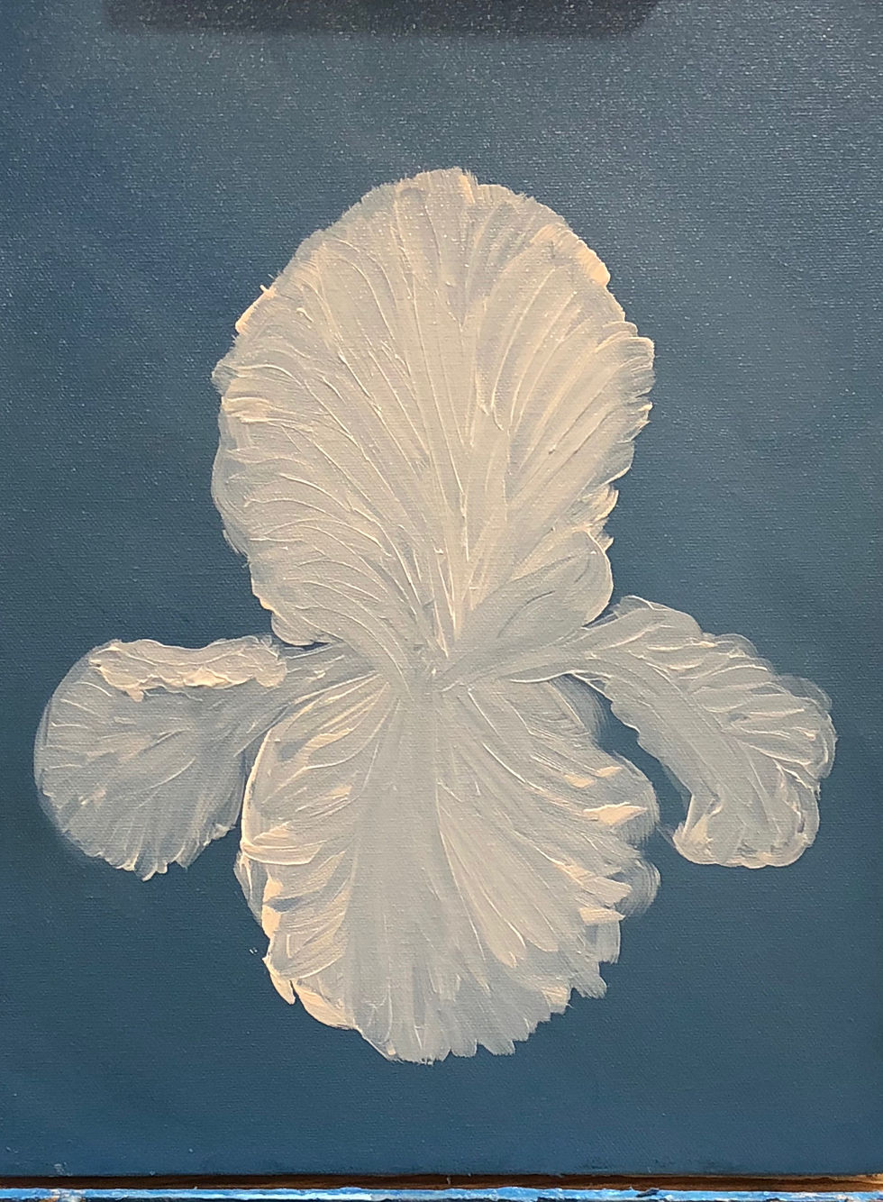 Immortal Iris