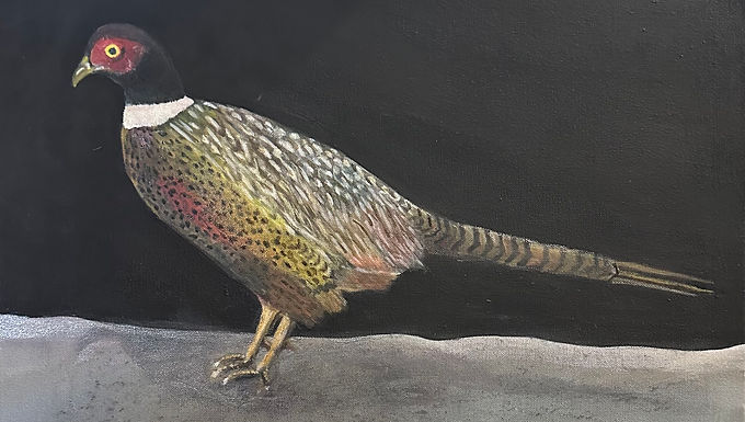 Pheasant 