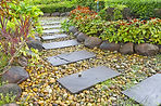 Stepping Stone Path