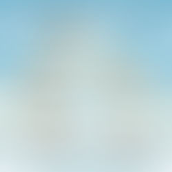 PALISI Site Administrators: Spring 2026 Prep Guide