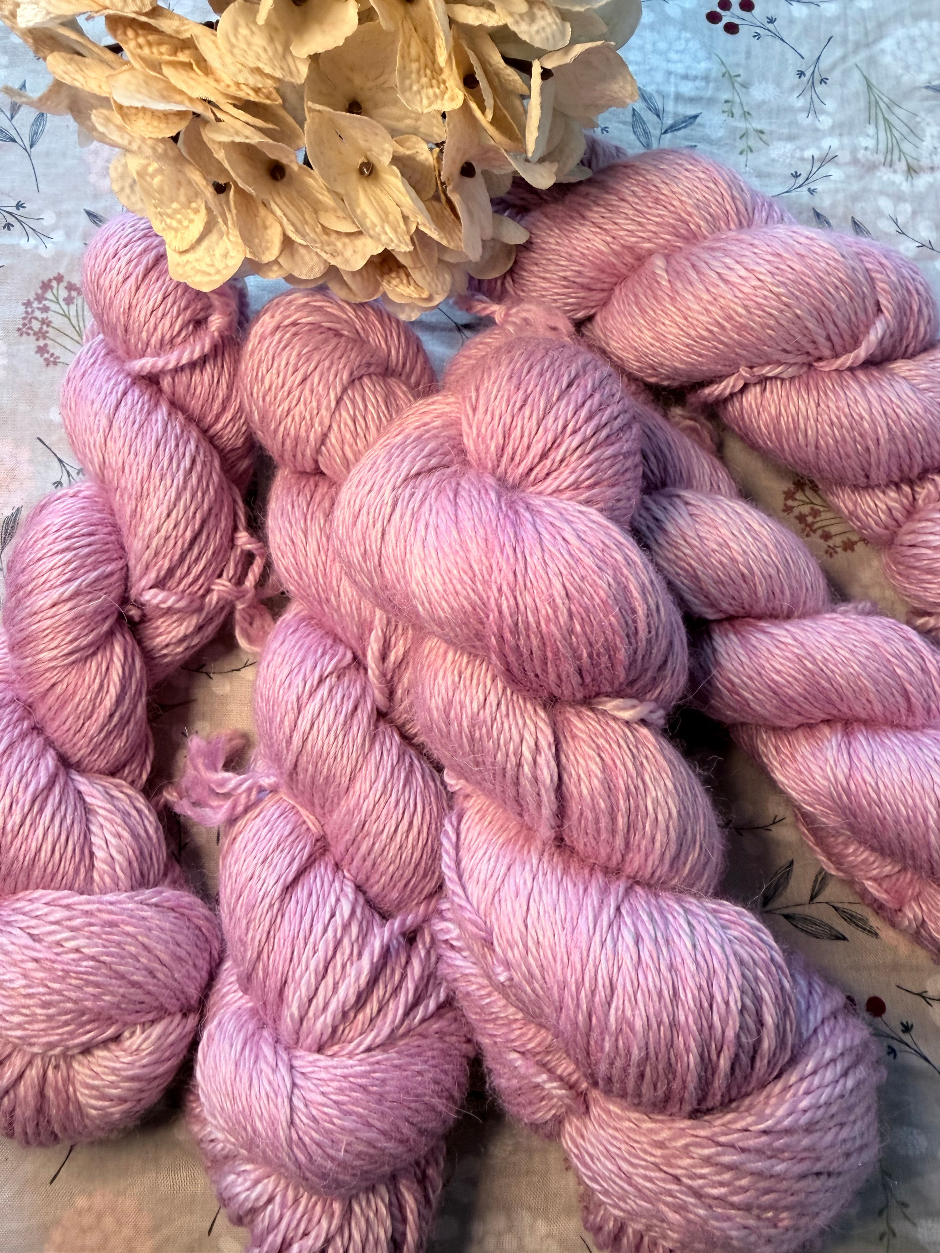 Miss Moppet Aran, 'Fairy Rose'