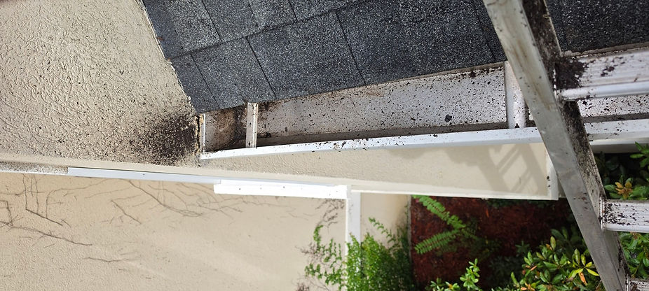 gutter-cleaning-evans-ga-wide.jpg